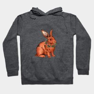 Flower bunny rabbit Hoodie